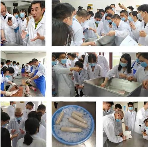 技術賦能產業升級 2021首期魚糜及其制品加工技術培訓班圓滿收官